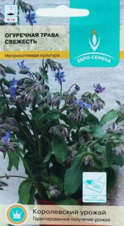 Огуречная трава Свежесть 0,5гр (ЕСМ) цв - КОЛОРЛОН ВТД Новосибирск