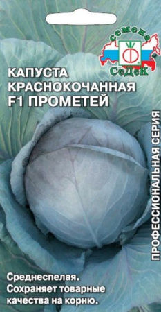 Капуста к/кочан. Прометей F1 0.05г (Седек) - КОЛОРЛОН ВТД Новосибирск