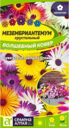 Мезембриантемум Волшебный ковер/Сем Алт/цп 0,05 гр. (2028 / 32235) - КОЛОРЛОН ВТД Новосибирск