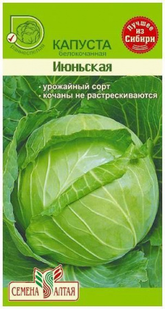 Капуста Июньская/Сем Алт/цп 0,5 гр. - КОЛОРЛОН ВТД Новосибирск