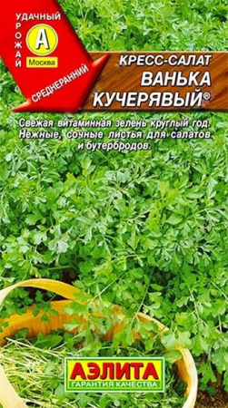 Салат кресс Ванька кучерявый 1г (Аэлита) цв - КОЛОРЛОН ВТД Новосибирск