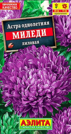 Астра Миледи лиловая (Аэлита) цв - КОЛОРЛОН ВТД Новосибирск