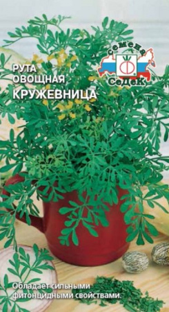 Рута овощная Кружевница (СеДеК) цв - КОЛОРЛОН ВТД Новосибирск