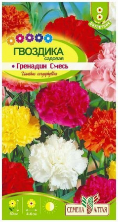 Цветы Гвоздика гренадин Малиновая рябь/Сем Алт/цп 0,2 гр. - КОЛОРЛОН ВТД Новосибирск