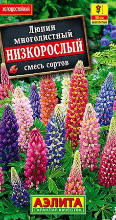 Люпин Низкорослый смесь (Аэлита) цв - КОЛОРЛОН ВТД Новосибирск