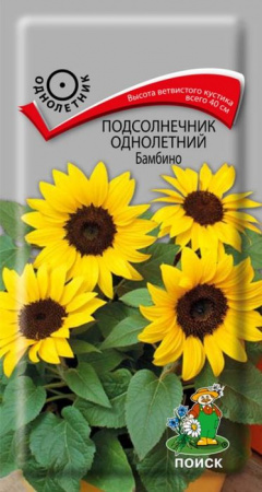 Подсолнечник Бамбино однолетн (Поиск) цв - КОЛОРЛОН ВТД Новосибирск