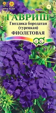 Гвоздика турецкая Фиолетовая 0.2г (Гавриш) - КОЛОРЛОН ВТД Новосибирск