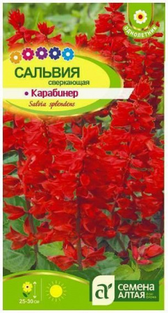 Цветы Сальвия Карабинер сверкающая/Сем Алт/цп 0,1 гр. - КОЛОРЛОН ВТД Новосибирск