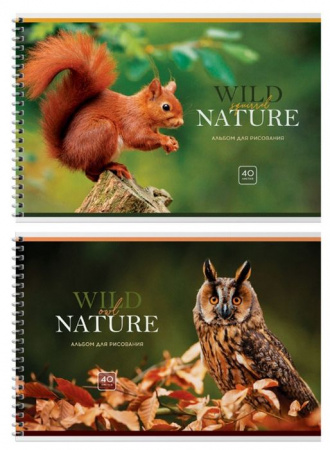 Альбом для рисования 40л., А4, на гребне BG "Wild nature" - КОЛОРЛОН ВТД Новосибирск
