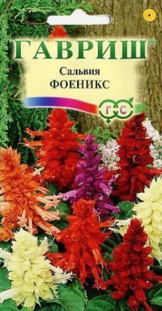 Сальвия Феникс 0.05гр (Гавриш) цв - КОЛОРЛОН ВТД Новосибирск