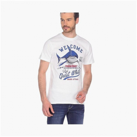 TS0832 Футболка мужская р.M,L,XL,2XL - КОЛОРЛОН ВТД Новосибирск