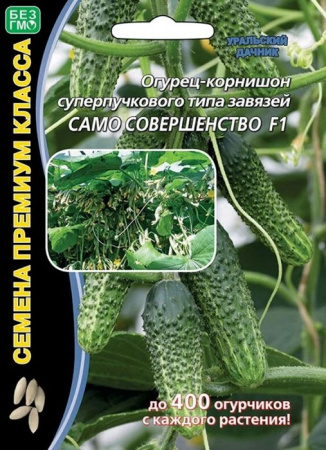 Огурец Само совершенство F1 5шт (УД) - КОЛОРЛОН ВТД Новосибирск