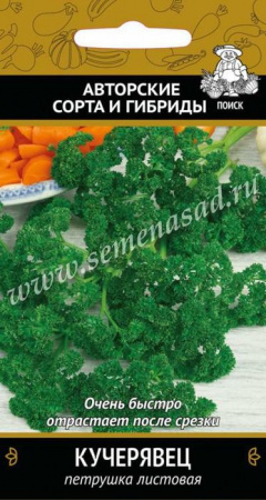 Петрушка кудрявая Кучерявец 3гр  (Поиск) цв - КОЛОРЛОН ВТД Новосибирск