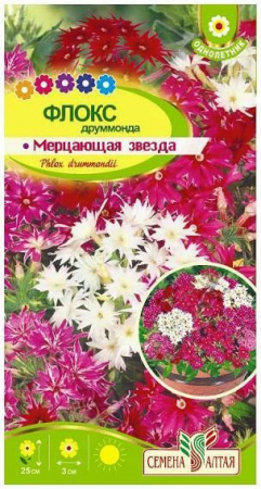 Цветы Флокс Мерцающая Звезда/Сем Алт/цп 0,2 гр. - КОЛОРЛОН ВТД Новосибирск