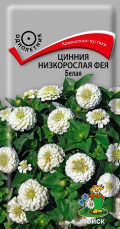Цинния Фея Белая 0.1г, низкорослая (Поиск) - КОЛОРЛОН ВТД Новосибирск