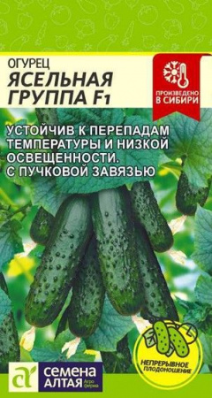 Огурец Ясельная Группа  F1/Сем Алт/цп 5 шт. - КОЛОРЛОН ВТД Новосибирск