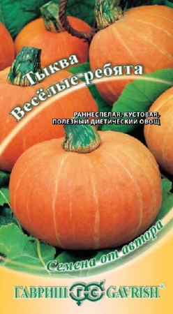 Тыква Веселые ребята 1,0 г автор. Н15 - КОЛОРЛОН ВТД Новосибирск