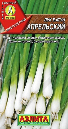 Лук батун Апрельский 0.2г (Аэлита) чб - КОЛОРЛОН ВТД Новосибирск
