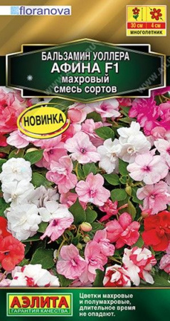 Бальзамин Афина F1 Махровый 5шт, смесь сортов (Аэлита) - КОЛОРЛОН ВТД Новосибирск
