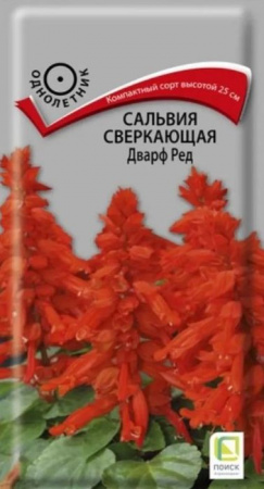 Сальвия Дварф ред 0.1гр  (Поиск) цв - КОЛОРЛОН ВТД Новосибирск