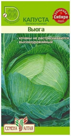 Астра Миледи Красная/Сем Алт/цп 0,2 гр. - КОЛОРЛОН ВТД Новосибирск