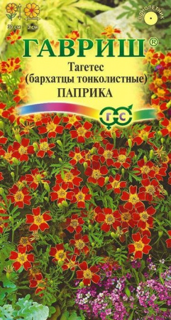 Бархатцы Паприка тонколист. 0.05гр (Гавриш) цв - КОЛОРЛОН ВТД Новосибирск