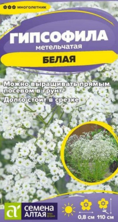 Гипсофила Белая метельчатая/Сем Алт/цп 0,05 гр. многолетник - КОЛОРЛОН ВТД Новосибирск