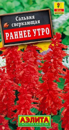 Сальвия Раннее утро 0.1г (Аэлита) - КОЛОРЛОН ВТД Новосибирск