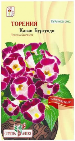 Цветы Торения Каваи Бургунди/Сем Алт/цп 5 шт. НОВИНКА - КОЛОРЛОН ВТД Новосибирск