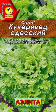 Салат Кучерявец Одесский 1г (двойной урожай) Аэлита - КОЛОРЛОН ВТД Новосибирск