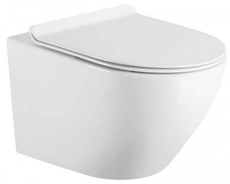 Унитаз Calypso подвесной  490*370*360мм, rimless безободковый, микролифт CS46TK-M - КОЛОРЛОН ВТД Новосибирск