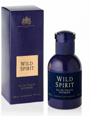 WILD SPIRIT т/в 100 мл муж - КОЛОРЛОН ВТД Новосибирск