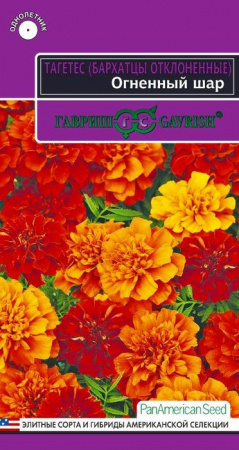 Бархатцы Огненный шар (хамелеон) 5шт (Гавриш) - КОЛОРЛОН ВТД Новосибирск