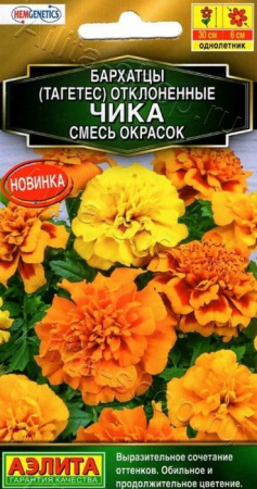 Бархатцы Чика 7шт, смесь низкорослая (Аэлита) - КОЛОРЛОН ВТД Новосибирск
