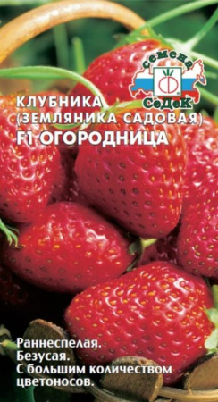 Земляника Огородница F1 (СеДеК) цв - КОЛОРЛОН ВТД Новосибирск