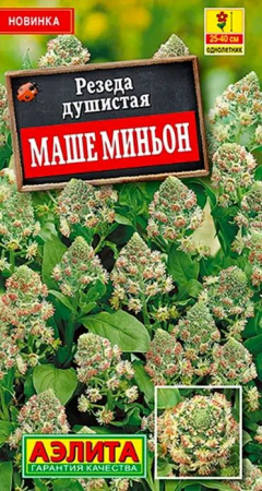 Резеда душистая Маше миньон 0.1г (Аэлита) - КОЛОРЛОН ВТД Новосибирск