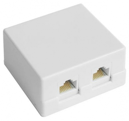 Компьютерная розетка 2ая Cat5е Dori 2393 - КОЛОРЛОН ВТД Новосибирск