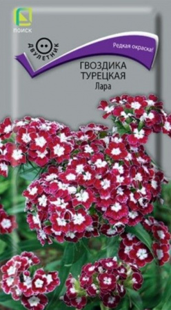 Гвоздика турецкая Лара 0. 3г (Поиск) - КОЛОРЛОН ВТД Новосибирск