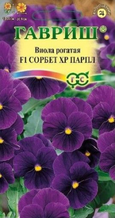 Виола Сорбет F1 Парпл 4шт (Гавриш) - КОЛОРЛОН ВТД Новосибирск