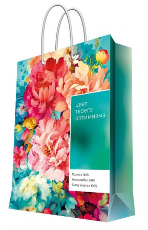 Бумажный пакет 26x32,4x12,7см арт.93930FE - КОЛОРЛОН ВТД Новосибирск