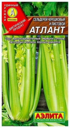 Сельдерей Атлант 0.5г, листовой (Аэлита) цв - КОЛОРЛОН ВТД Новосибирск