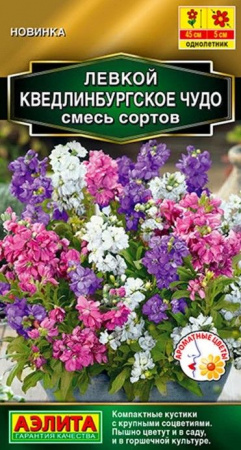 Левкой Кведлинбургское чудо 0.1г, смесь сортов (Аэлита) - КОЛОРЛОН ВТД Новосибирск