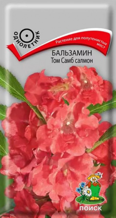 Бальзамин Том Самб салмон 0.1гр (Поиск) цв - КОЛОРЛОН ВТД Новосибирск