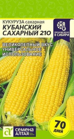 Кукуруза Кубанский Сахарный 210/Сем Алт/цп 5 гр. - КОЛОРЛОН ВТД Новосибирск