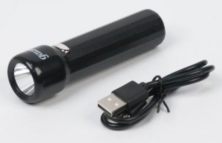 Фонарь ручной Gauss  GFL202 1W 50lm  Li-ion 1200mAh LED - КОЛОРЛОН ВТД Новосибирск