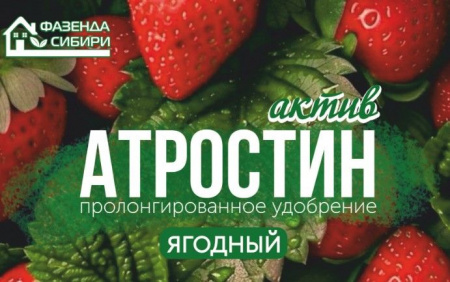 "Агростин" ягодный (пролонгированного действия 400гр - КОЛОРЛОН ВТД Новосибирск