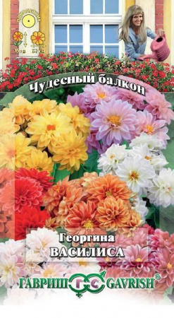 Георгина Василиса 0.5гр (Гавриш) цв Чудесный балкон - КОЛОРЛОН ВТД Новосибирск