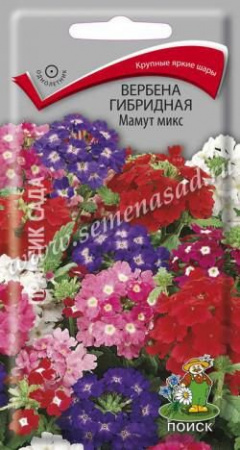 Вербена Мамут микс гибридная (Поиск) цв - КОЛОРЛОН ВТД Новосибирск
