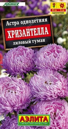 Астра Хризантелла Лиловый туман 15шт (Аэлита) - КОЛОРЛОН ВТД Новосибирск
