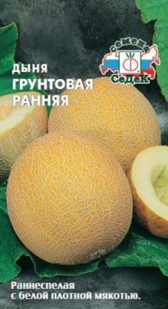 Дыня Грунтовая ранняя (СеДеК) цв - КОЛОРЛОН ВТД Новосибирск